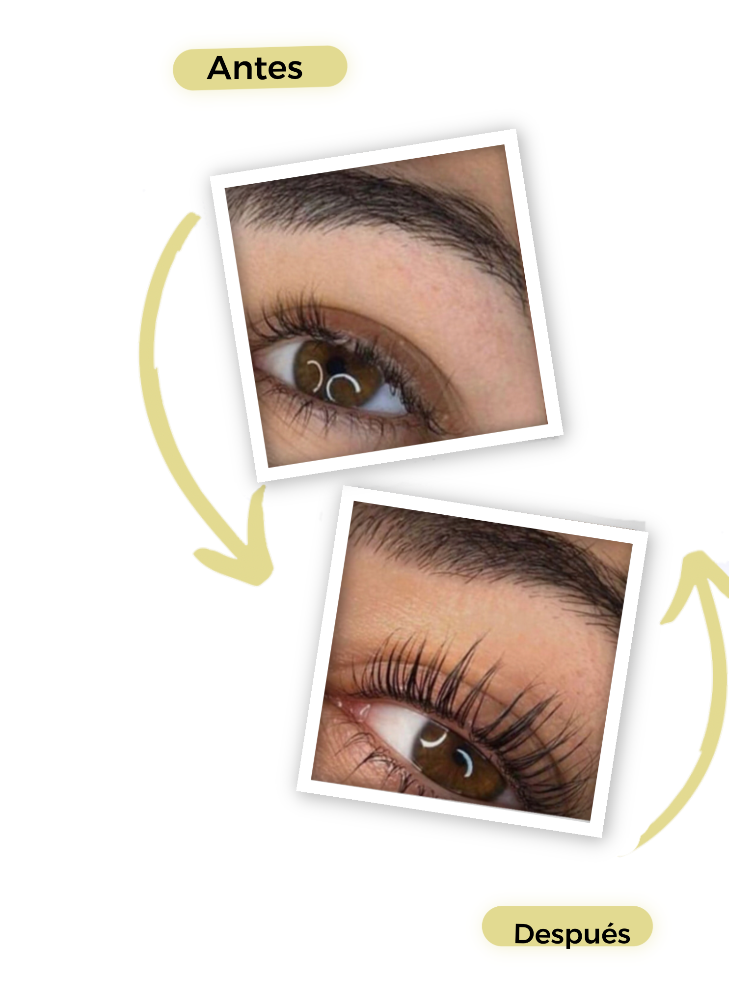 ACEITE PURO PARA CEJAS, PESTAÑAS Y BARBA Diamante Fit